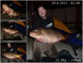 /album/a6-2011/a21-4kg-1-1-carp-1-jpg/